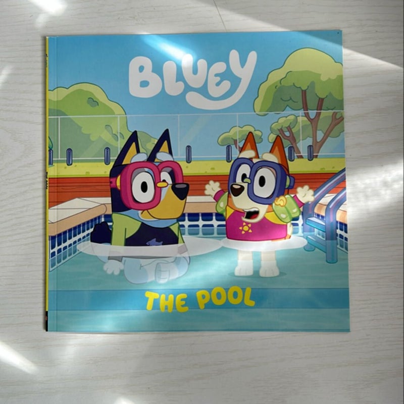 Bluey: the Pool