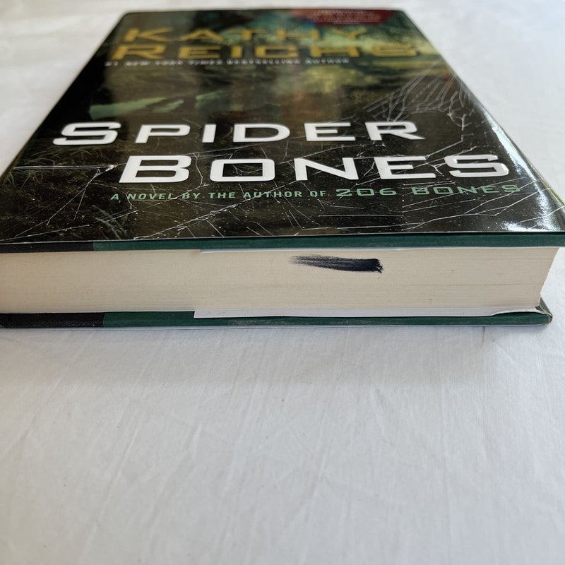 Spider Bones