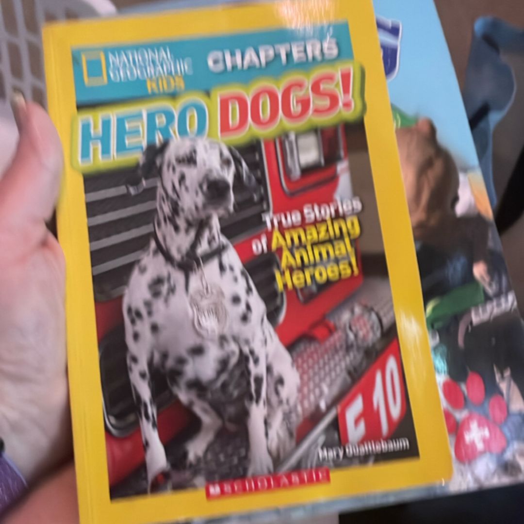 Hero Dogs!