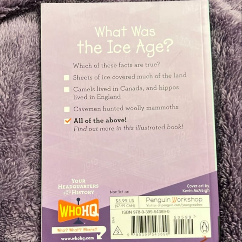 What Was the Ice Age?