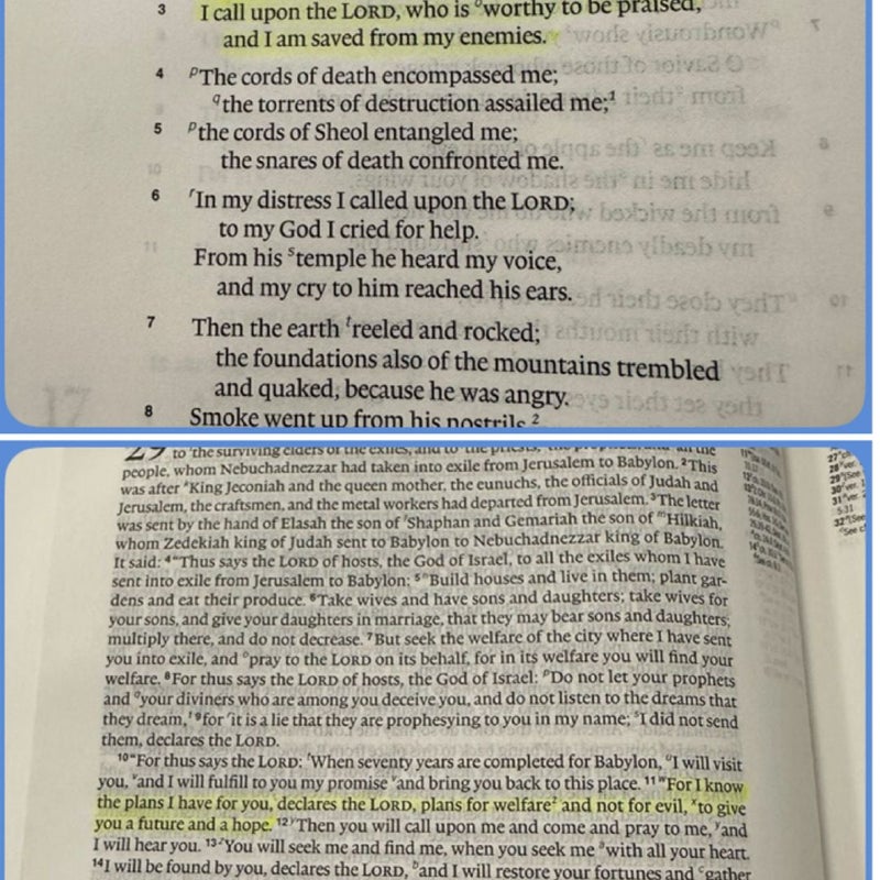 ESV Study Bible