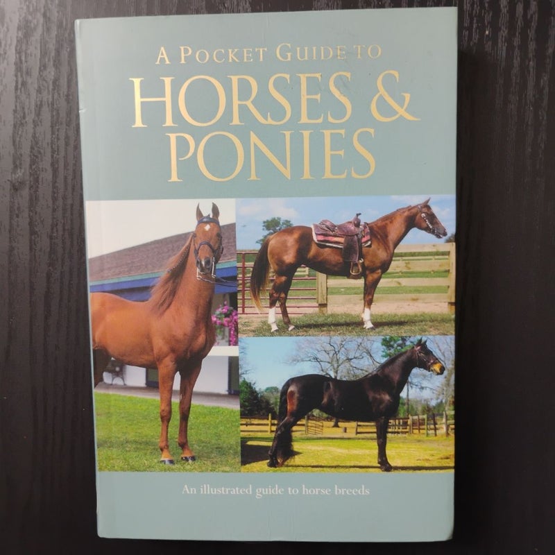 A Pocket Guide to Horses and Ponies