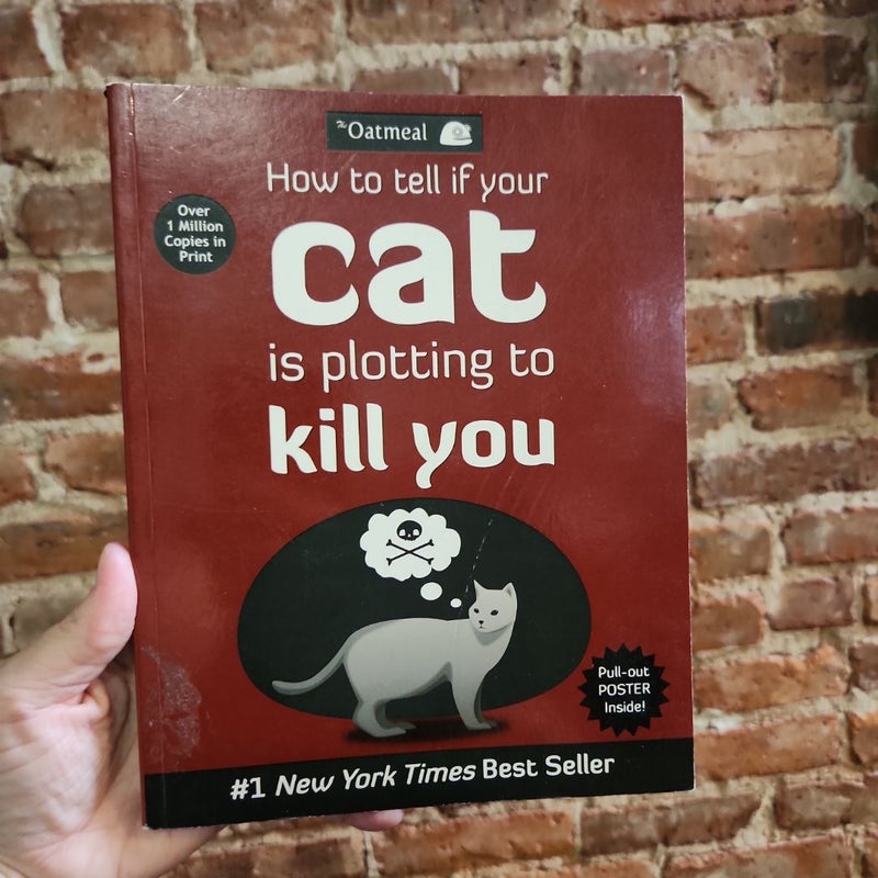 How to Tell If Your Cat Is Plotting to Kill You