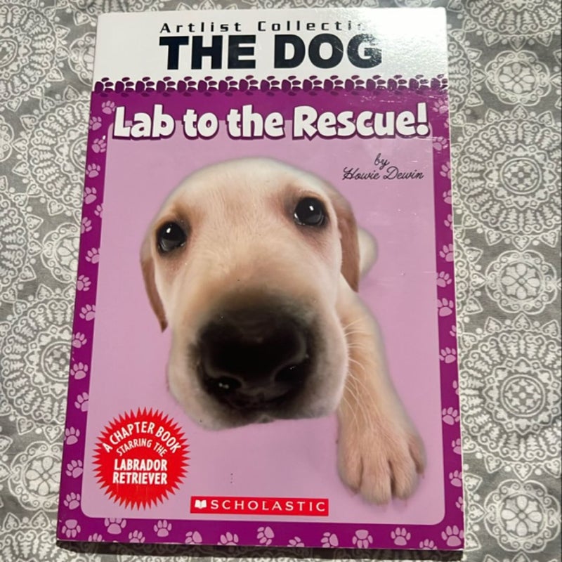 Lab to the Rescue!