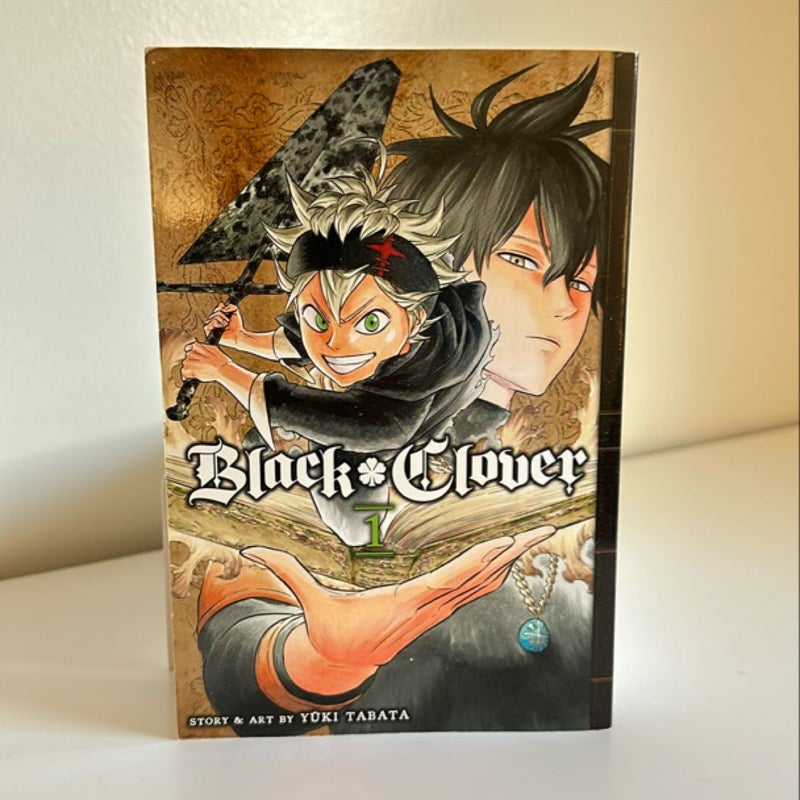 Black Clover, Vol. 1