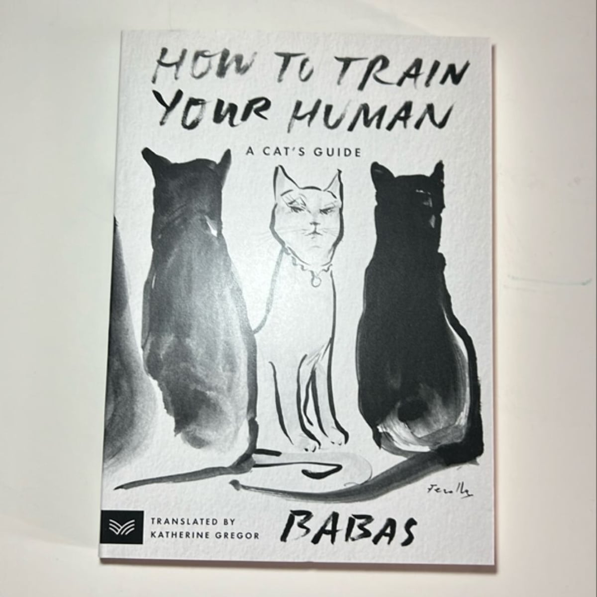 How to Train Your Human by Babas, Katherine Gregor