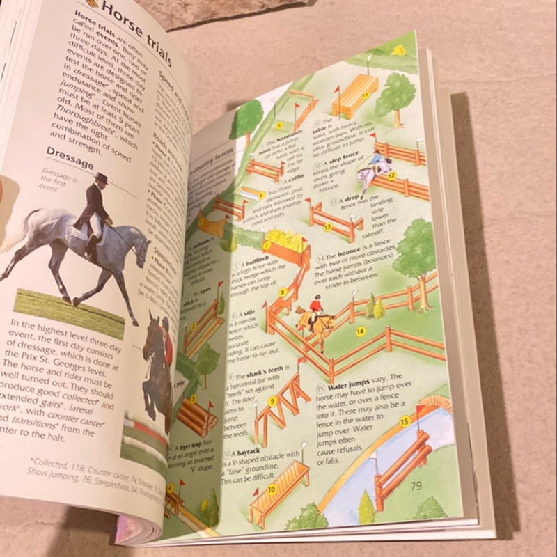 Usborne Dictionary of Horses & Ponies