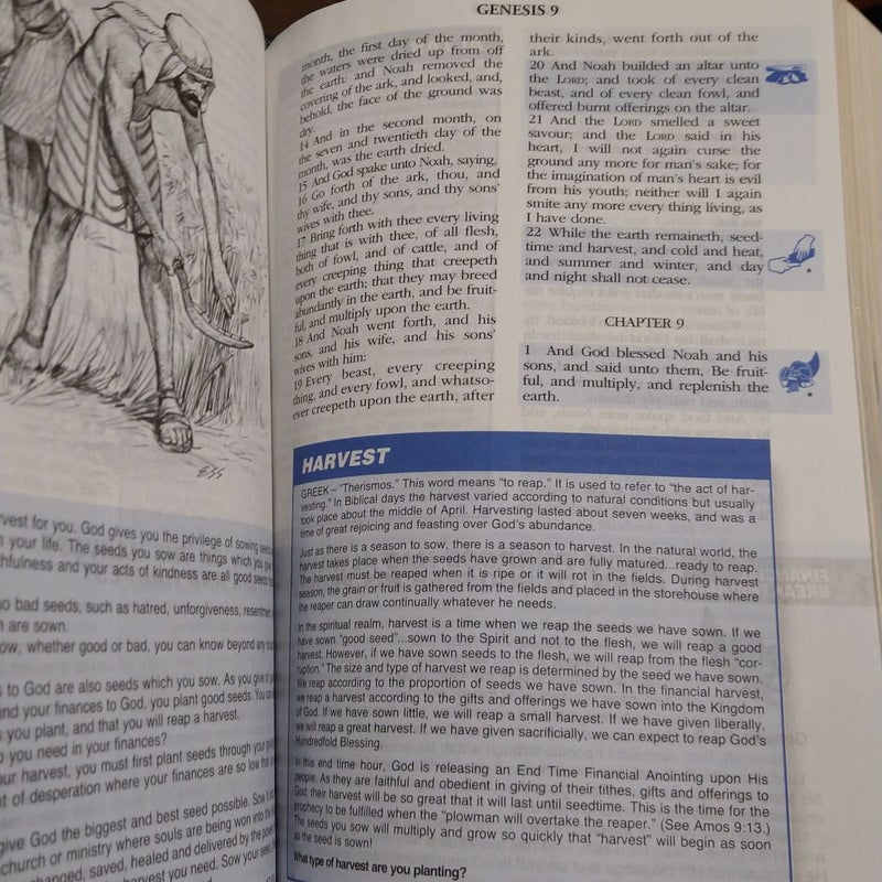 Financial Breakthrough Spiritual Warfare Bible 