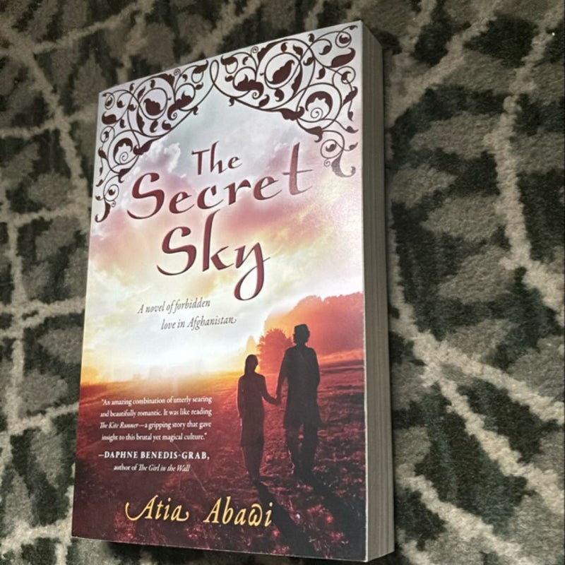 The Secret Sky