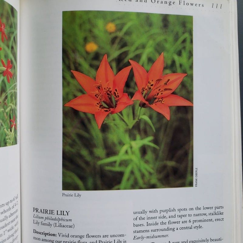 Tallgrass Prairie Wildflowers