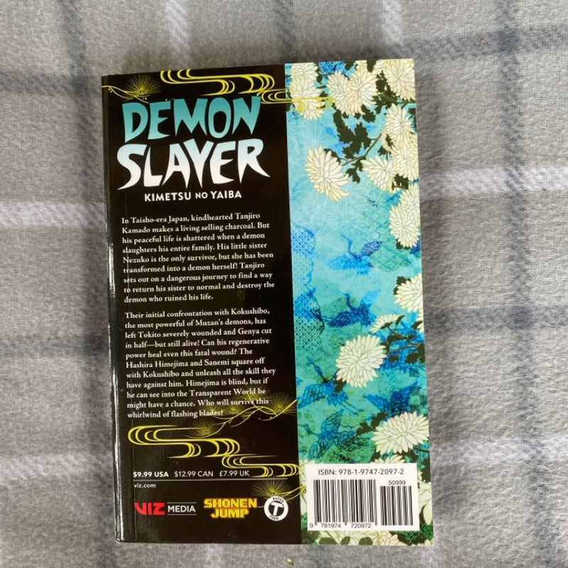 Demon slayer