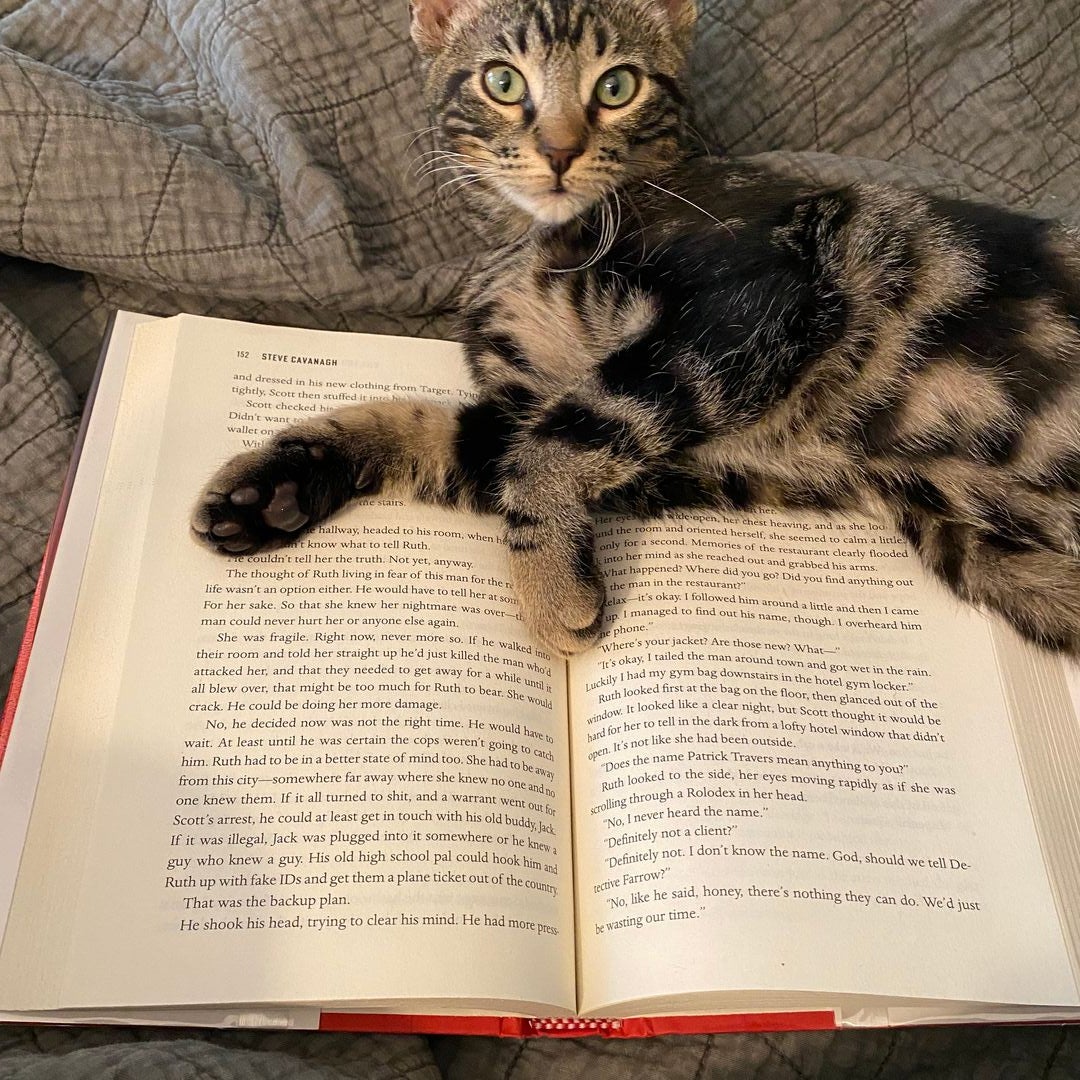 Bookends