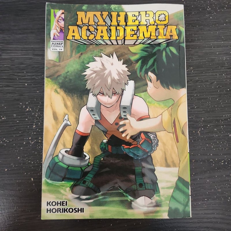 My Hero Academia, Vol. 29