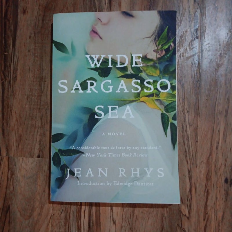 Wide Sargasso Sea