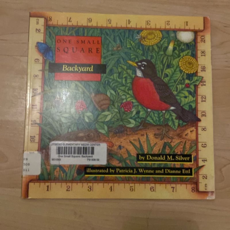 One Small Square by Donald M. Silver