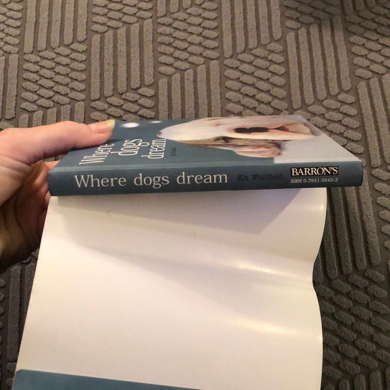 Where Dogs Dream
