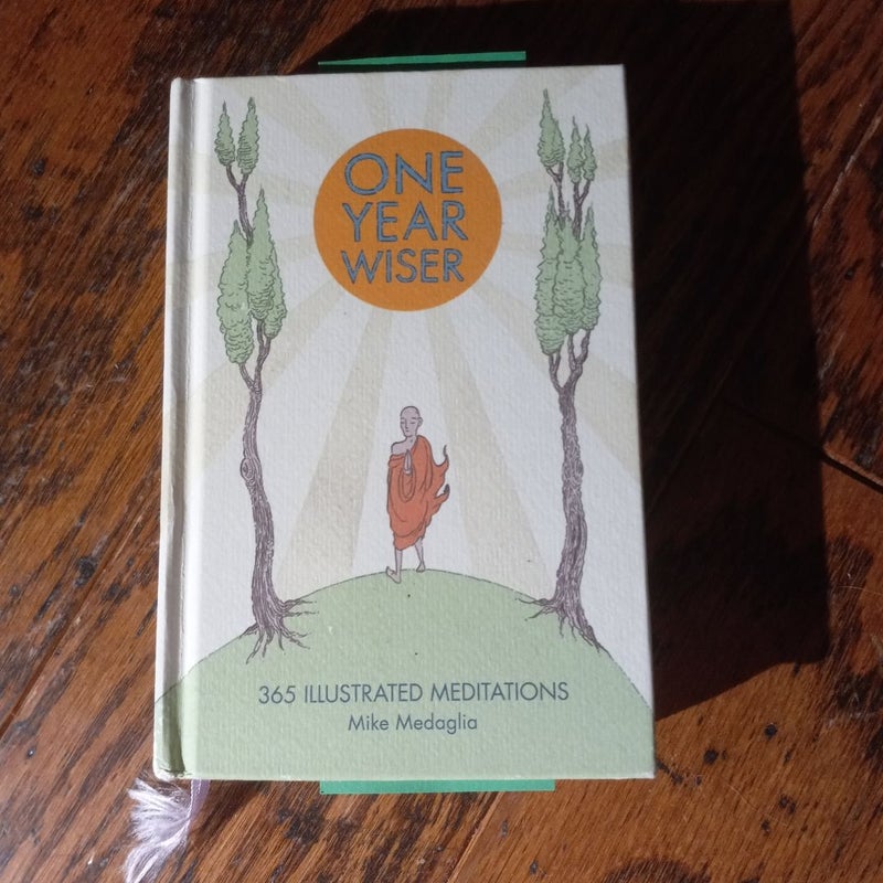 One Year Wiser: 365 Illustrated Meditations