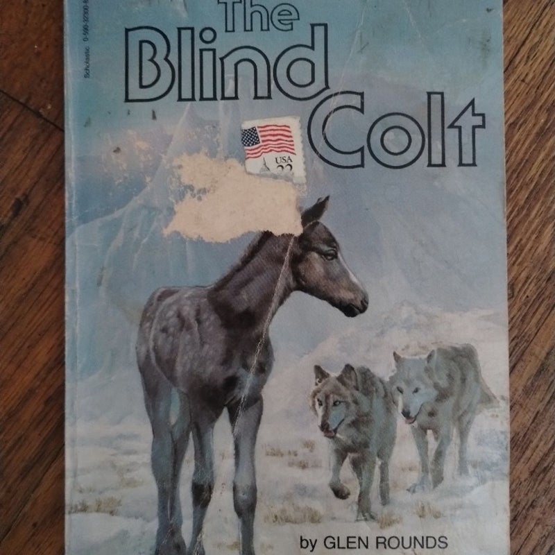 Blind colt