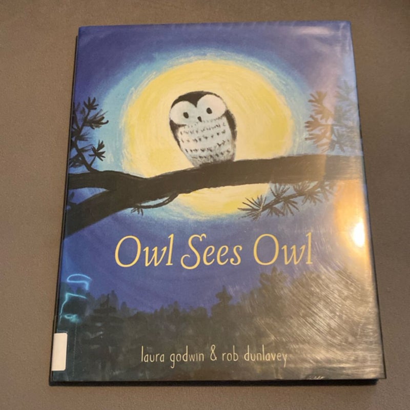 Owl Sees Owl