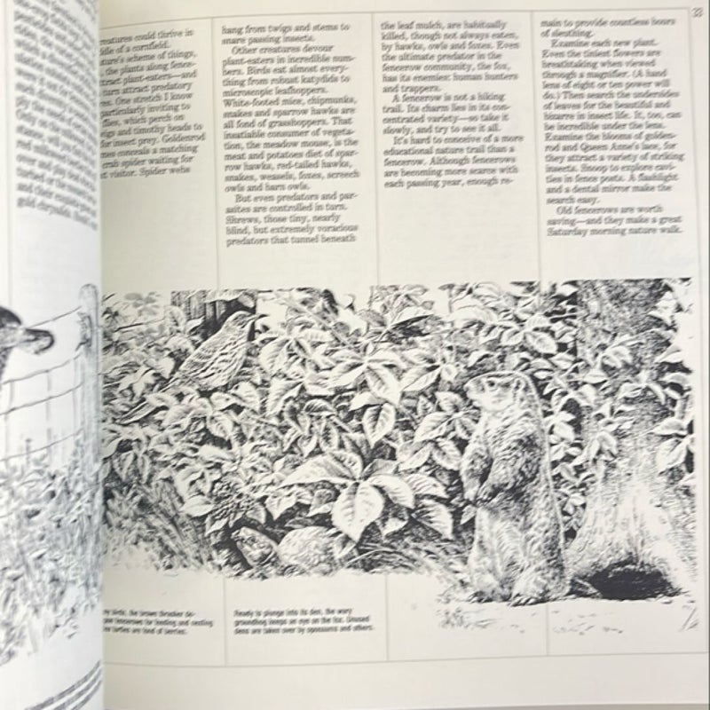 Ned Smith's Wildlife Sketchbook