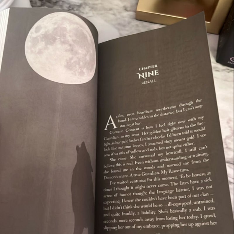 The Hidden Guardian (SIGNED) 