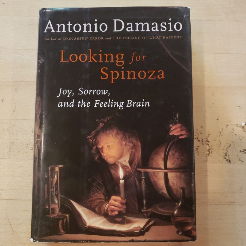 Looking for Spinoza