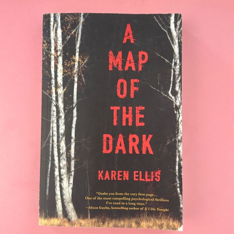 A Map of the Dark