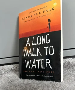 A Long Walk to Water