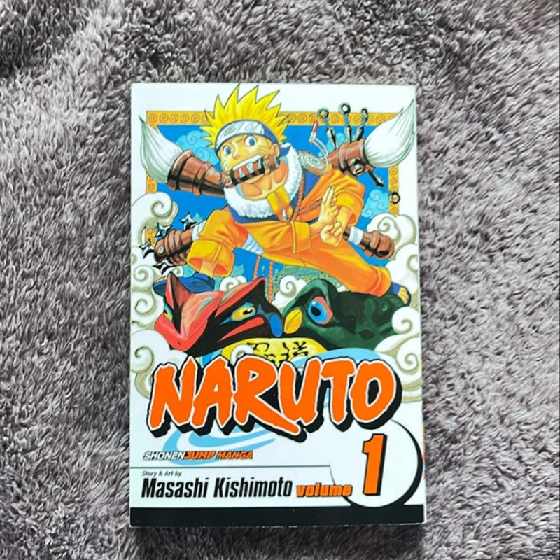 Naruto, Vol. 1