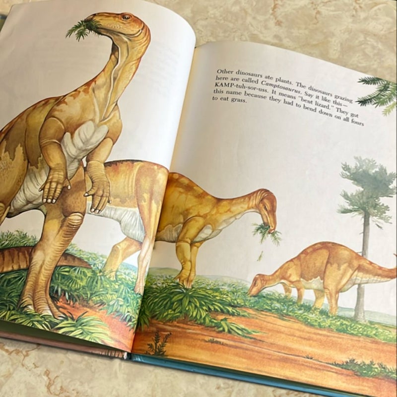 Dinosaur bundle of 3 books