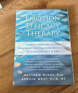 Emotion Efficacy Therapy
