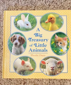 Big Treasury of Little Animals