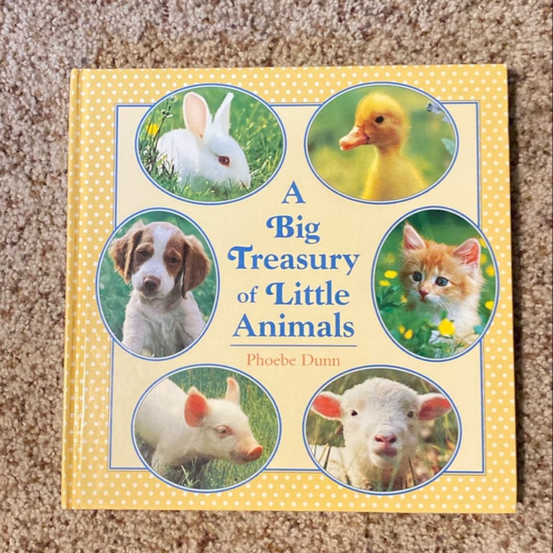 Big Treasury of Little Animals