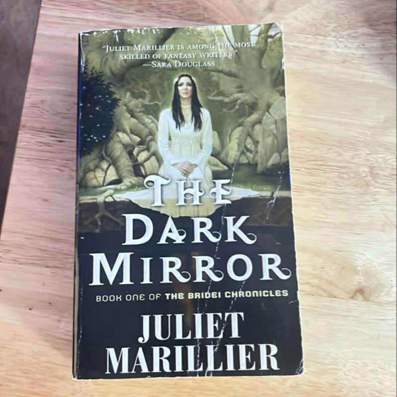 The Dark Mirror