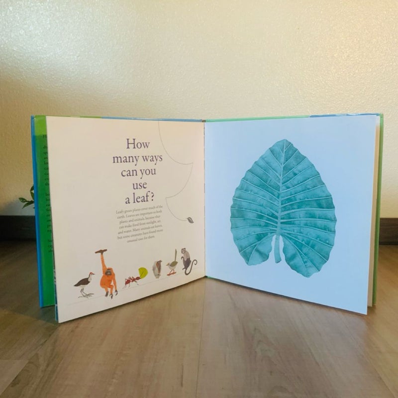 How Many Ways Can You Catch a Fly?