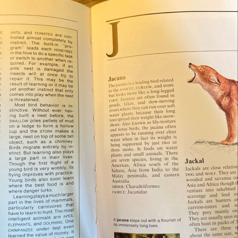 The Kingfisher Illustrated Encyclopedia of Animals