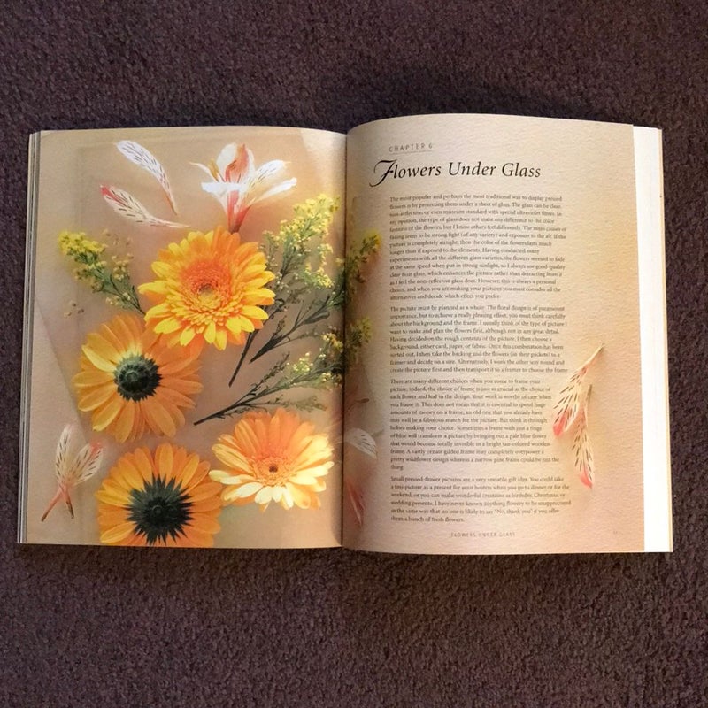 Microwaved Pressed Flowers, Vol. 8