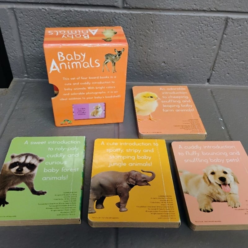 My Mini Library Baby Animals