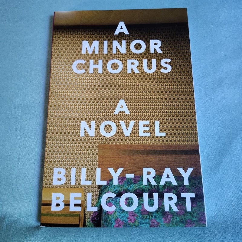 A Minor Chorus - a Novel