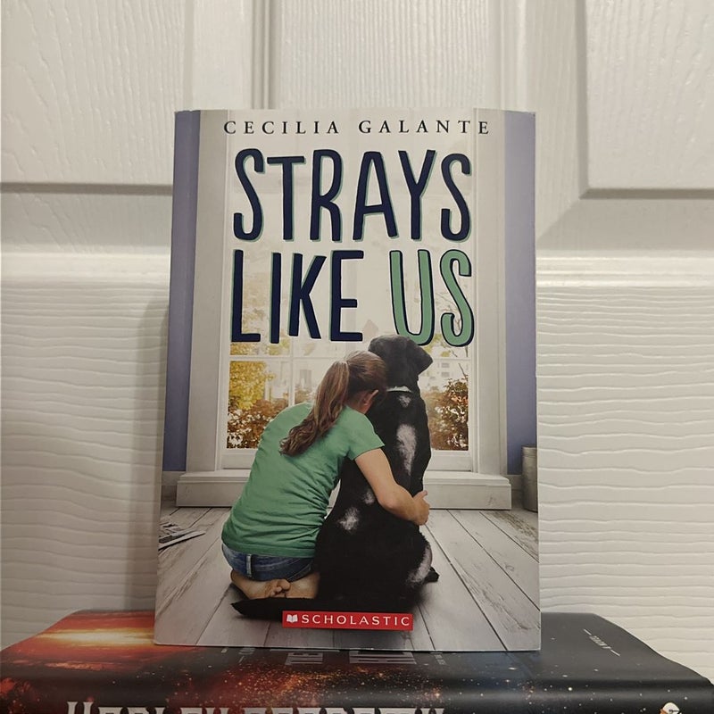 Strays Like Us