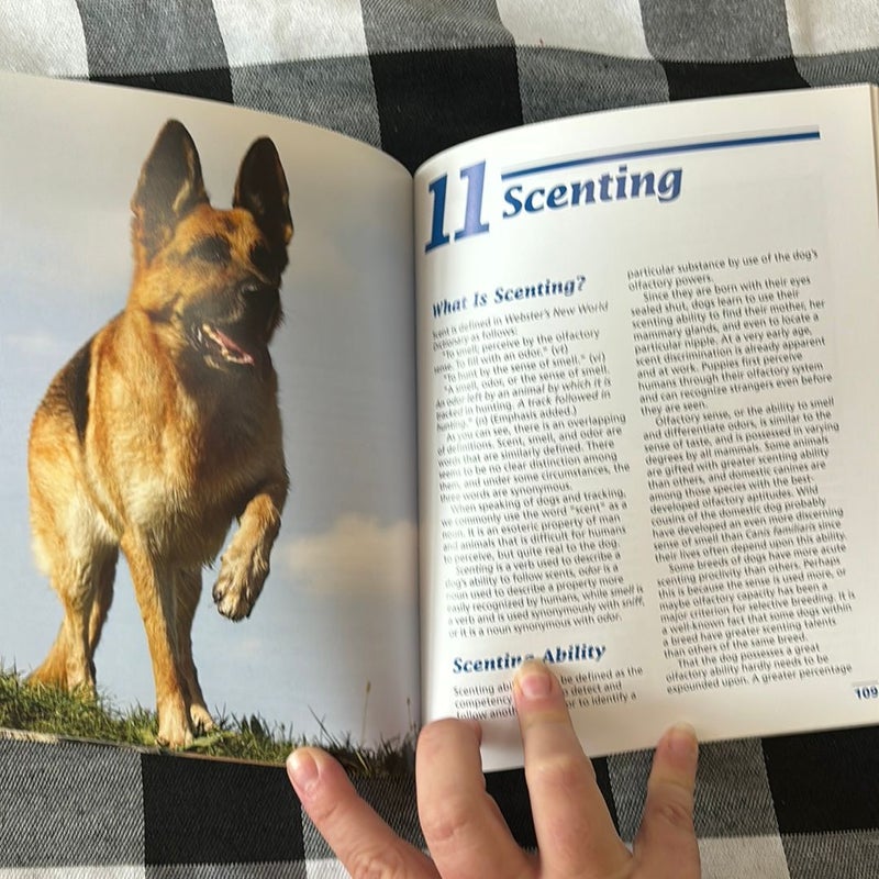 Training Your German Shepherd Dog