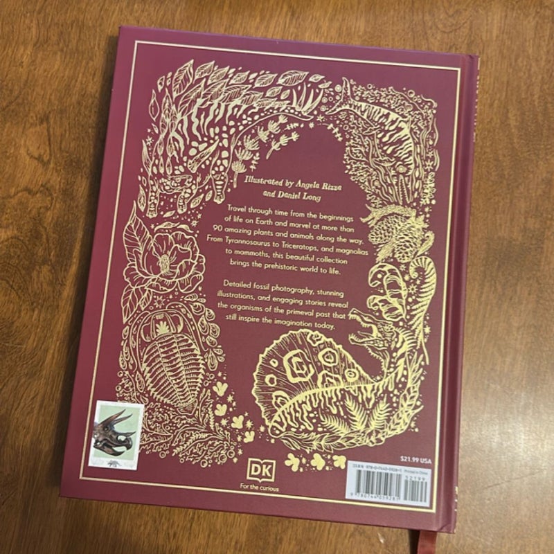 DK Books Dinosaurs and other Prehistoric Life
