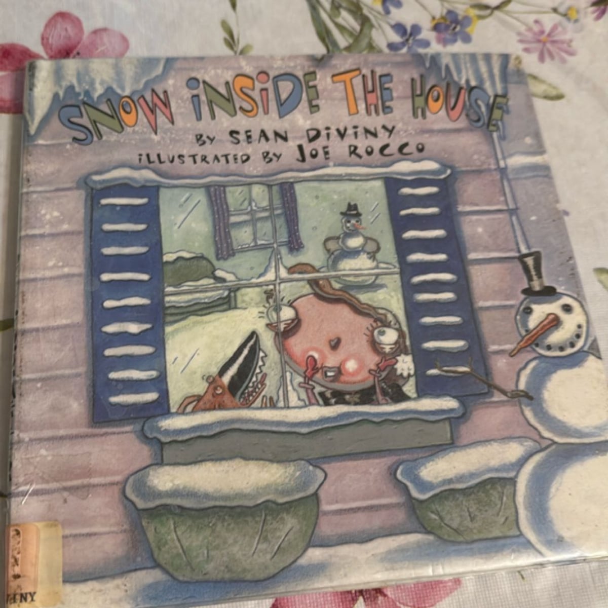 Snow Inside the House by Sean Diviny