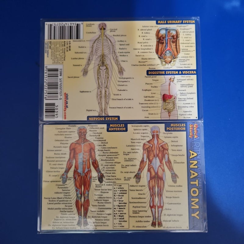 Anatomy - Pocket-Sized Reference Guide (4 X 6)