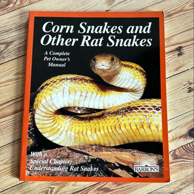 Corn Snakes and Other Rat Snakes