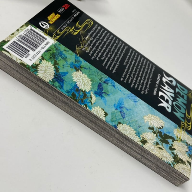 Demon Slayer: Kimetsu No Yaiba, Vol. 20