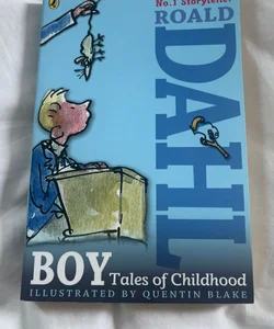 Boy Tales of Childhood