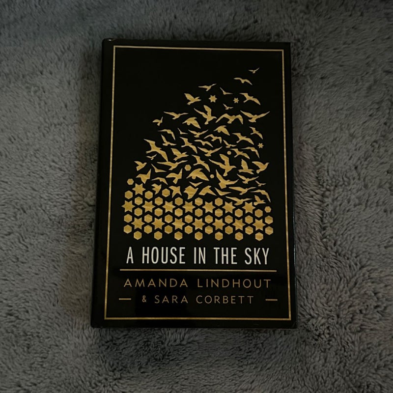 A House in the Sky
