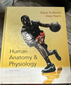 Human Anatomy and Physiology