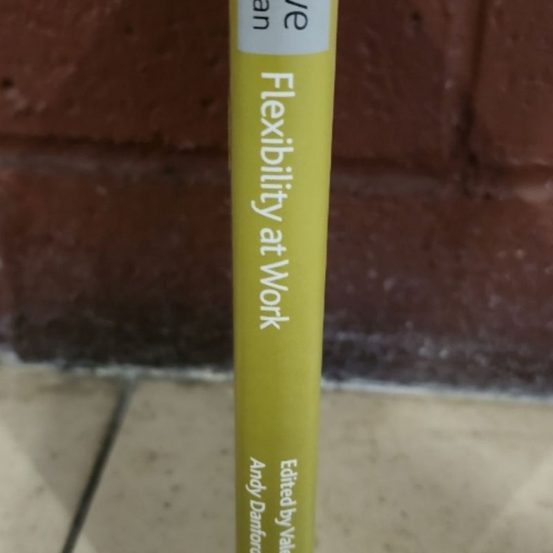 Flexibility at Work Critical Development Automobile Industry Hardcover Book 2008